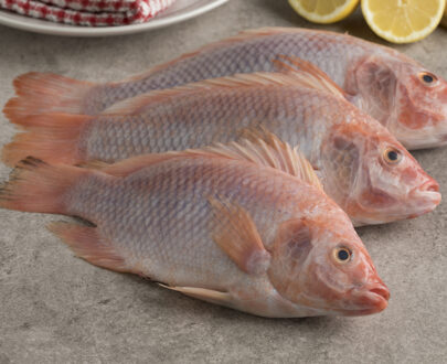 Tilapia rouge — 1 kg